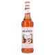 Sirope Monin Pfirsich Melocoton 1,00 Litro (R) 1.00 L.