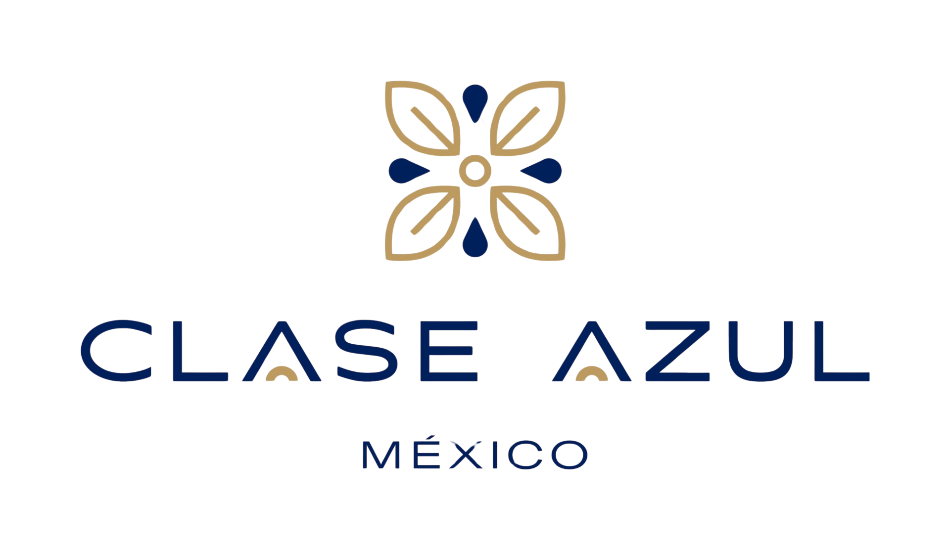 Clase Azul